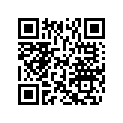 503190257 RUNNER SHOE