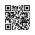 503190278 RUNNER (144