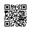 503190531 Shoe Slider 136"
