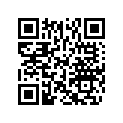 503190581 Amort. Arr.    *shock-rear