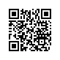503190866 SHOE SLIDER 162