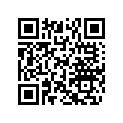 503191050 RUNNER 151