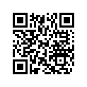 503191342 BLACK SPRING
