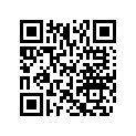 503191901 Runner 120