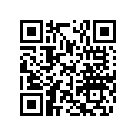 503192425 Runner Pps 500