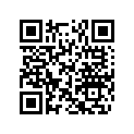 503194029 Spacer