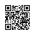 503194243 Rh Runner