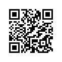 503194307 Slider Shoe
