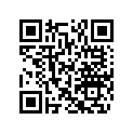 503195677 Support Manifold