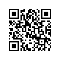 5032411 LEVER