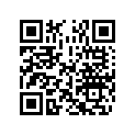 5032568 SHIM (.90MM)