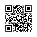 50333005100 SLIDING G.6TH G.20-T 6G2098