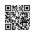5033456 PLATE