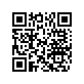 5034913 SHOE