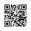5034915 SHOE