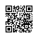5034938 SHIM,TAPPET