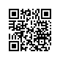 5034951 SHIM,TAPPET