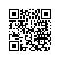 5035658 WASHER (30X38X2.2)