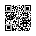 5035659 WASHER (30X38X2.5)