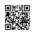 5036643 HOLDER