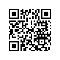 5036920 LEVER