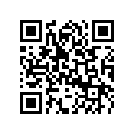 5036921 LEVER