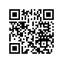 5036960 LEVER