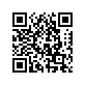 5036996 HOLDER