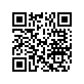 5037531 LEVER