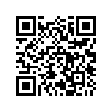 504001500 Rondelle       *washer