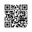 5040310100033 RAHMEN 504Q2SCHWARZ