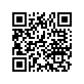 50404-381-810 Stay a, rr.