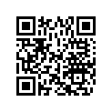 5040412 LEVER