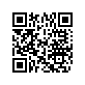 5040421 SHFT LVR SHFT ASY