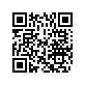 5040498 DRV SHFT BUSH ASY