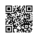 50405-381-810 Stay b, rr.