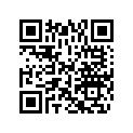 5040632 GASKET