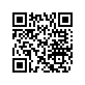 504092100 Cam 40 Degr.