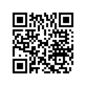 5040946 PIST RING 0.5 O/S