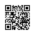 5041150 CAUTION DECAL (B)