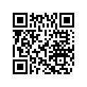 5041178 STR LCK CAM SPRING