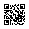 5041343 WASHER