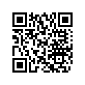 504151910 Drive Chain (74 Links)