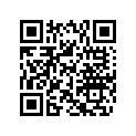 504152111 Chenille 15