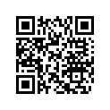 504152415 CHAIN, 82 LINKS