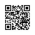 504152491 SHIM