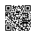 504152499 CHAINCASE