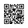 504152510 Levier         *lever