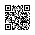 504153006 TRACK_14 X 120 X 0,75