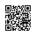 504153351 Plate